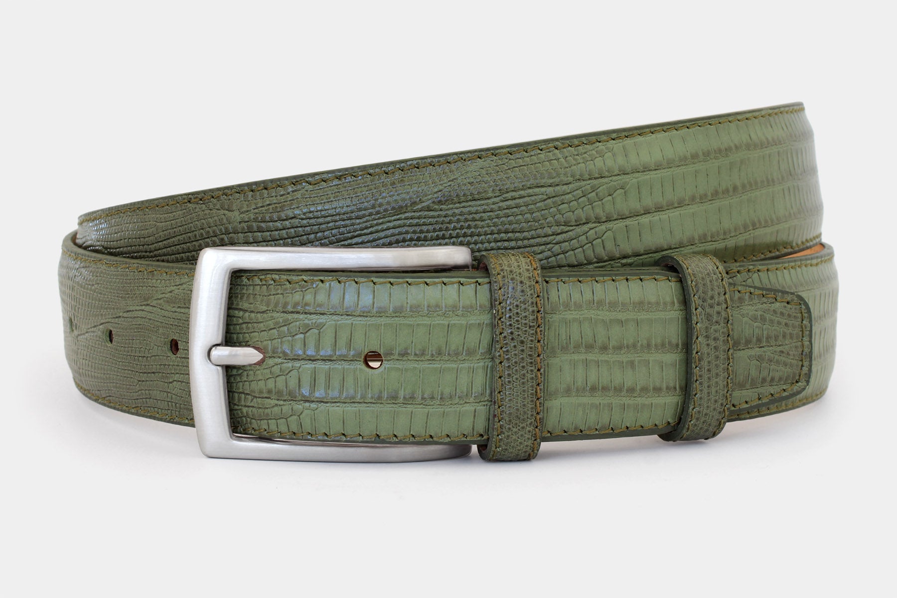 1504 Olive – Snake