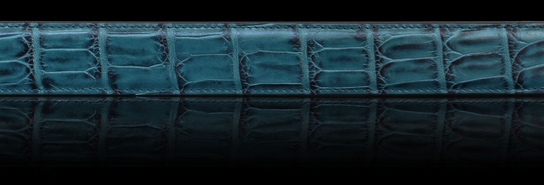Petrol crocodile Italian leather belt on black background