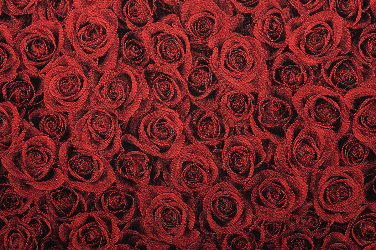 Close-up of red roses woven silk fabric. Crafted by artisans in Italy.